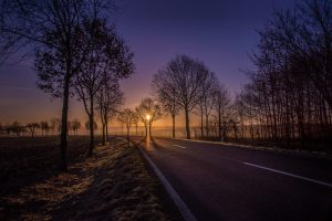 road, sunrise, trees